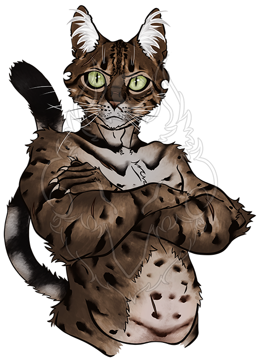 OC, colored flats + highlights