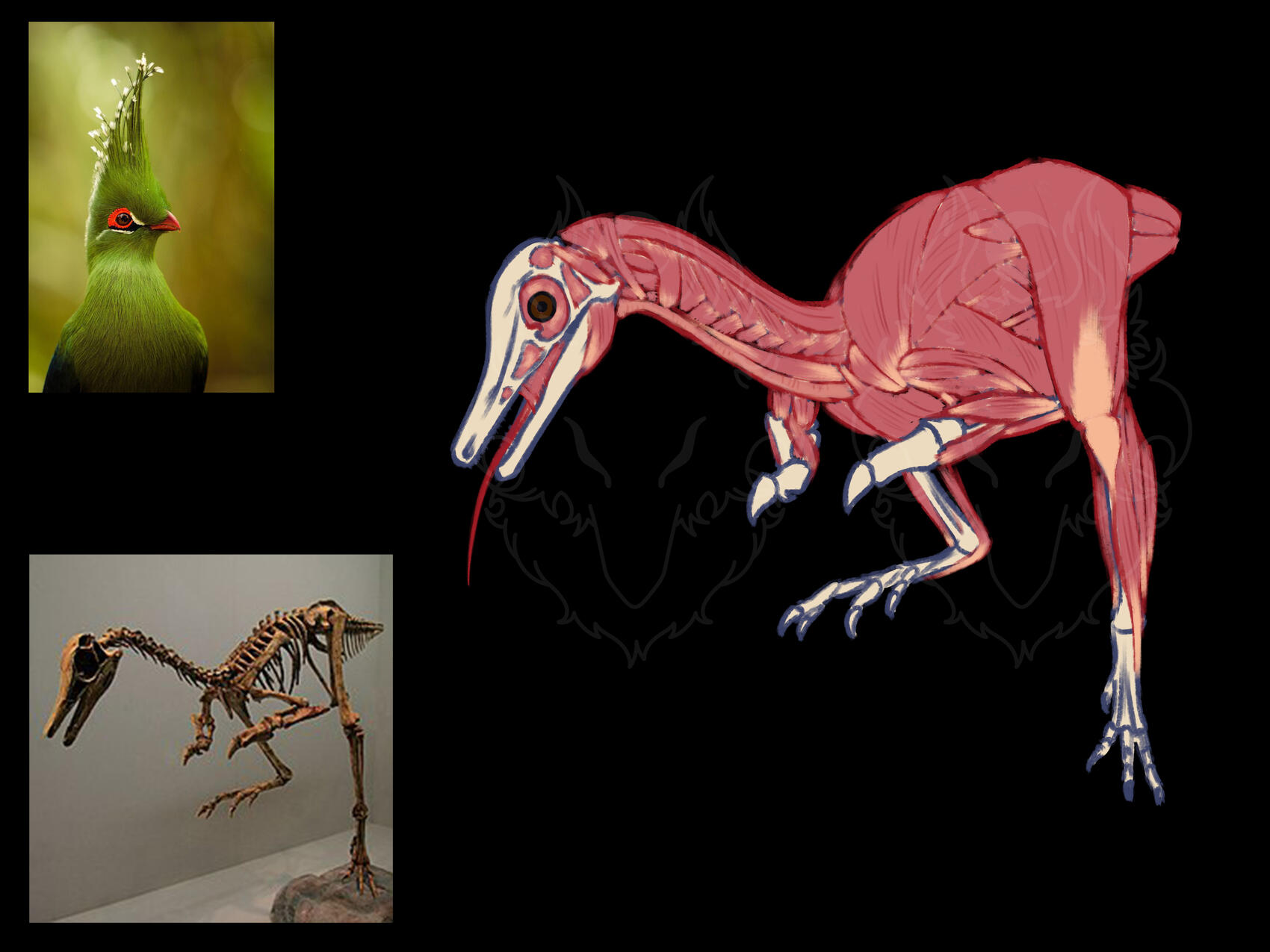 dinosaur study, colored sketch