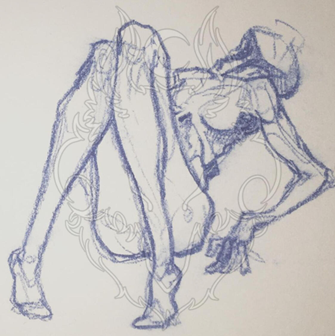 anatomy practice